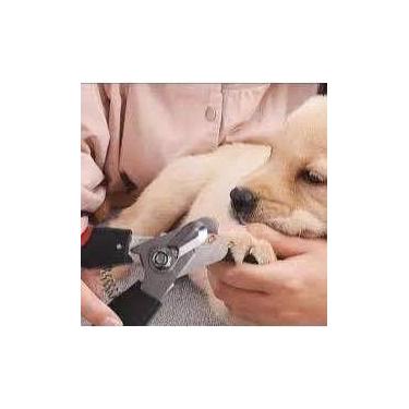 Imagem de Alicate Cortador Pata Shop Coleira Guia Meia Higiene Unhas Pet Cães Ga