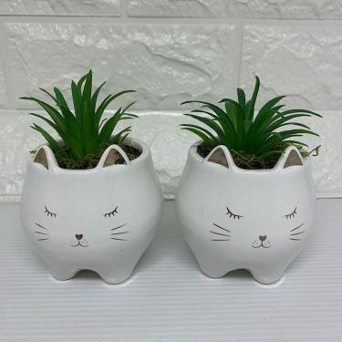 Imagem de Conjunto de cachepô gatinhos com suculenta