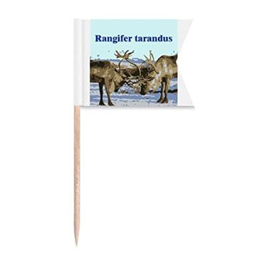 Imagem de Canis Lupus Arctos Branco Art Deco Presente Fashion Palito Bandeiras Marcação para Bolo Festa Prato de Queijo