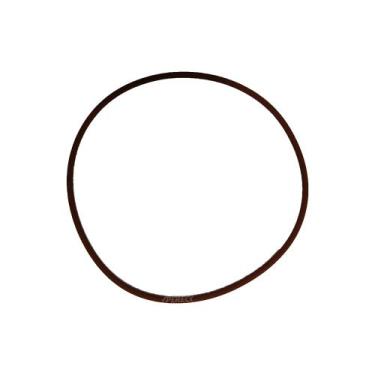 Imagem de Anel Vedação Tampa Traseira Distribuição Para Iveco Stralis - 17292381