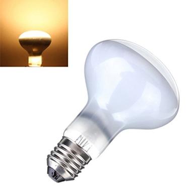 Imagem de CTKcom Lâmpada De Aquecimento Para Animais Estimação, Pacote Com 2, 110 V, 75 W, Ponto Aquecimento, Répteis, Iluminação Aquários Tartarugas, Lagartos Aquáticos, E26/E27, Branca, 2 Peças