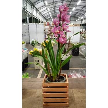 Imagem de Cachepots de Mesa 20 x20 (Orquídea)