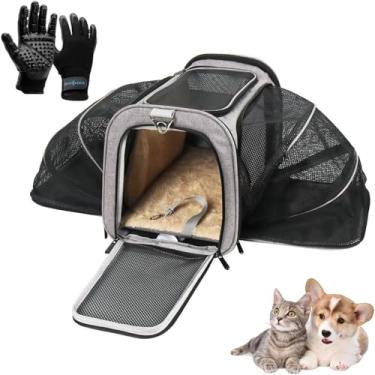 Imagem de Kit Bolsa Pet Expansível Transporte Viagem Cabine Avião + Par de Luvas Magnética - Duke & Dixie (Cinza)