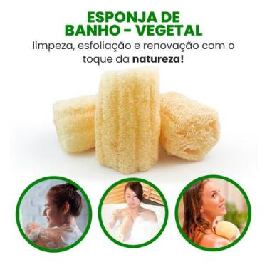 Imagem de Esponja Bucha Vegetal Natural Limpeza Banho Esfoliação Pele Macia Peda
