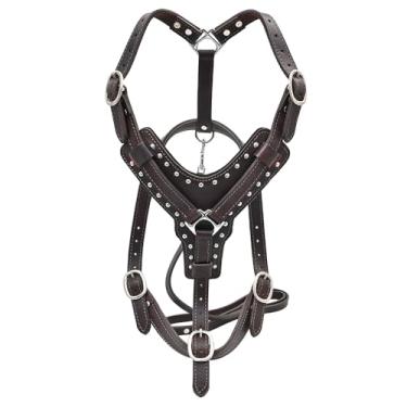 Imagem de Peitoral marrom grande de couro legítimo HILASON com coleira marrom grande | Arnês para cães | Coleira para cães | Coleira de couro para cães | Arnês para passear com cães | Arnês para cães com