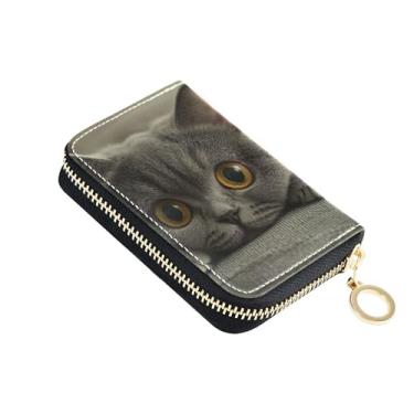 Imagem de Curious British Shorthair Carteira feminina pequena com 9 compartimentos para cartões de crédito e 2 compartimentos para dinheiro com zíper