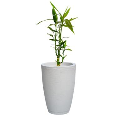 Imagem de Vaso Plantas Polietileno Grande 60cm Leve Resistente Moderno (Branco)