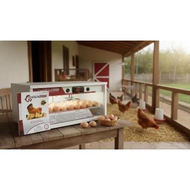 Imagem de Chocadeira 100% Automática Digital 60 a 70 Ovos Galinha/ 110V - Chocam