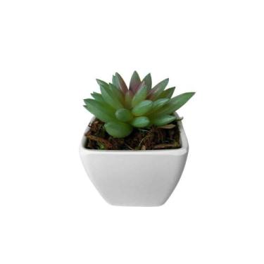 Imagem de Suculenta Artificial Mini Vaso de Plástico Branco - Melhores Ofertas, 
