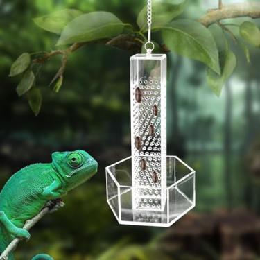 Imagem de Tigela de alimentação camaleão, alimentador de dragão barbudo de acrílico transparente com coluna para insetos escalarem, acessórios de aquário de répteis para lagarto lagartixa lagartixa sapo