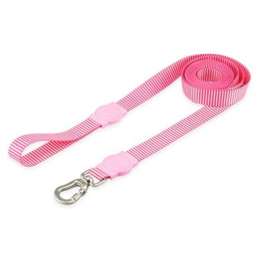 Imagem de Mood Pet Coleira Guia 5 Metros Para Cães Cachorro Adestramento Passeio Porte Grande Médio Pequeno (Queens, P)