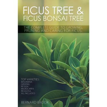Imagem de Ficus Tree and Ficus Bonsai Tree. The Complete Guide to Growing, Pruning and Caring for Ficus. Top V