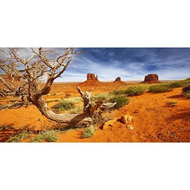 Imagem de Leyiyi Fundo fotográfico Monument Valley 122 x 45 cm Parque Nacional Americano Navajo Tribal Park Planta Deserto Ocidental Rock Dry Trunk Warship Landmark Film Polyester Backdrop Terrarium Background