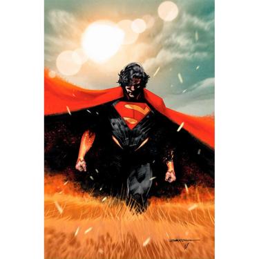 Imagem de Absolute Superman Vol. 01