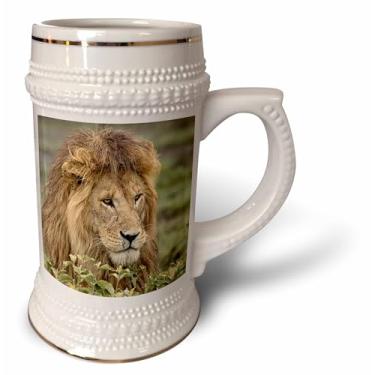 Imagem de 3dRose África, Tanzânia, Serengeti. Cabeça de leão, Leão Panthera - Caneca de chá, 510 g, 623 g, branca