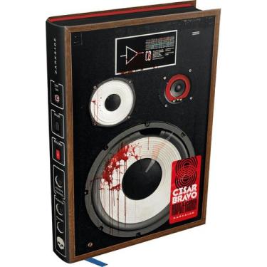 Imagem de Livro - Amplificador