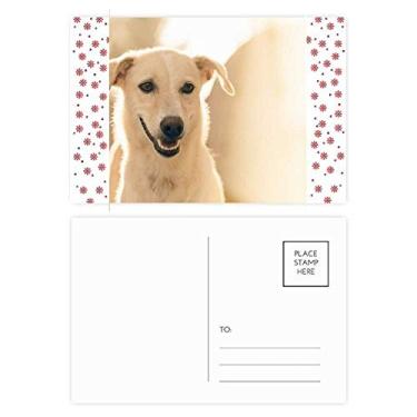 Imagem de Smile White Dog Pet Picture Christmas Christmas Christmas Flower Celebration Cartão postal Blessing Mailing Card