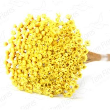 Imagem de 300 Sempre Viva Florzinha I Flores Desidratadas - Decoração Enfeite Se