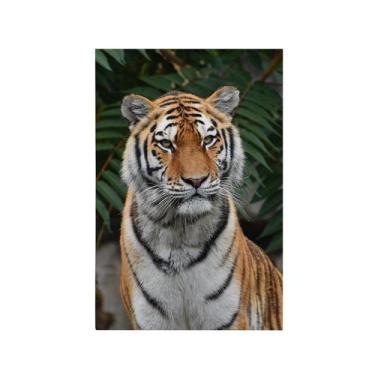 Imagem de Quadro Decorativo Canvas Tigre Bengala Animal Felino 70x50cm - Bazar d