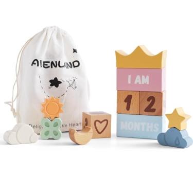 Imagem de Conjunto de 12 blocos de marcos para bebês, blocos de idade de madeira para recém-nascidos para marcos mensais, adereços charmosos para fotos, presentes e lembranças para bebês