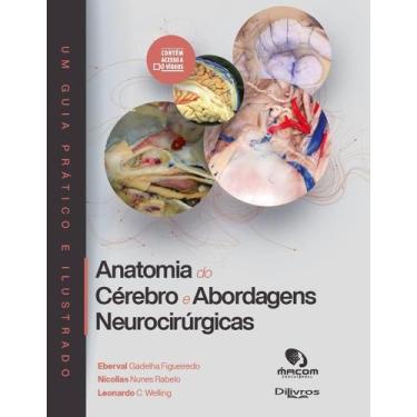 Imagem de Anatomia do cerebro e abordagens neurocirurgicas - DI LIVROS EDITORA L