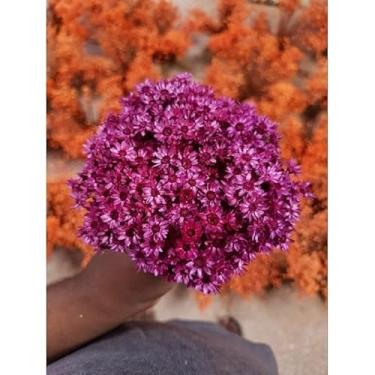 Imagem de Flores Sempre Viva Secas para Decoração – Kit 300 a 2100 Unidades Ideal para Festa Casamento e Arranjos (Marsala,5 buquês)