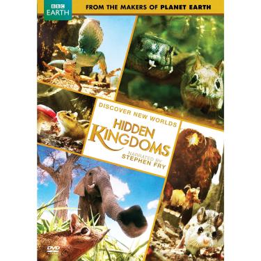 Imagem de Hidden Kingdoms