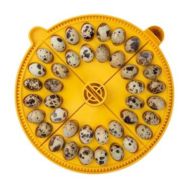Imagem de Incubadora Maxi Advance Pequenos Quadrantes Inserção (40 ovos de codorna)