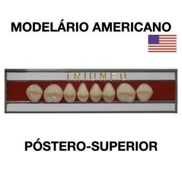 Imagem de Dente Triunfo Posterior Superior - Triunfo, 32L SUPERIOR COR 67