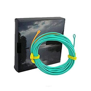 Imagem de Vingatik Cabeças de Captura Dupla Colorida Skagit Plus Ultra Baixa Linha de Pesca Flutuante Elástica Flutuante com Laços Soldados ID Linha de Laços de 20 pés 300 grãos/23 pés 550 Grain