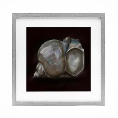 Imagem de Stupell Industries Impressão emoldurada cinza Treasure Of Sea Shell Under Glass, design de Mary Sparrow, 40,6 x 40,6 cm