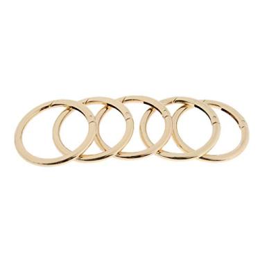 Imagem de Luzhengyang 5 peças de clipes de mosquetão redondos para chaveiro | Fivela de liga de zinco de alta resistência | Mini gancho de pressão de mola para atividades ao ar livre | acampamento, caminhada