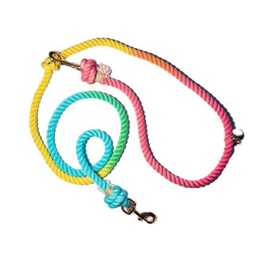 Imagem de Glow Pups Coleira de cachorro mãos livres, corda arco-íris de 2,5 metros com comprimento ajustável, corda durável, fechos dourados, design colorido, guia de treinamento resistente para cães