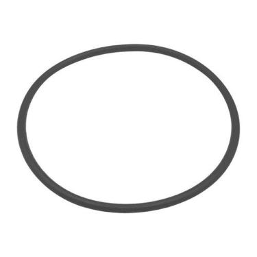 Imagem de Anel Guarnição Bomba de Combustível Civic 2012-2016 Flex - DUPARTS