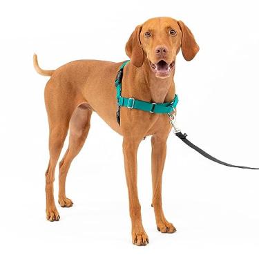 Imagem de PetSafe Coleira Para Cães Easy Walk Dog Arnês Para Cães Sem Puxar Medium Ewh-Hc-M-Tel