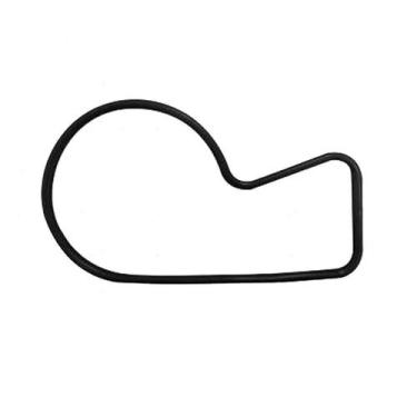 Imagem de Junta Bomba D'Agua Logan Sandero Kwid 1.0 12V 2016 57220 - Junta lima