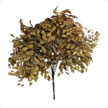 Imagem de Buquê Avenca Cor Laranja Terracota Natural Decoração Arranjo Desidrata