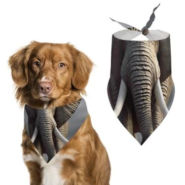 Imagem de Cachecol triângulo de poliéster estampado com elefante - Tamanho único (70 x 30 cm)
