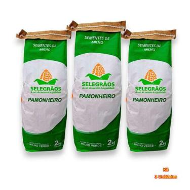 Imagem de Semente de Milho Hibrido Pamonheiro - Kit 3 Pacotes Para Lavoura e Cul