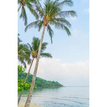 Imagem de Quadro Decorativo com Estampa General View Tropical Island From 50 x 50 Papel 3 unidades