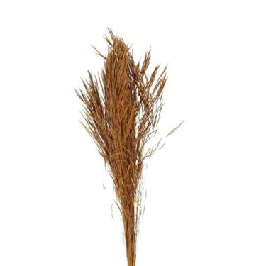 Imagem de Capim Trigão Laranja Desidratado - Pense Flores