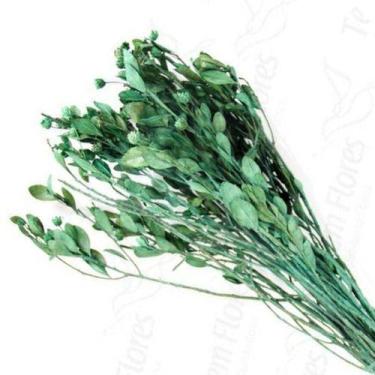 Imagem de Alecrim Verde Desidratado Buque Flores Secas - Pense Flores