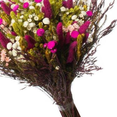 Imagem de Buque de Flores Seca Rabo de Coelho Gato Amarelo Decorar - Pense Flore