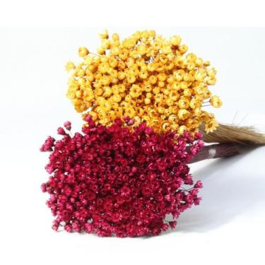 Imagem de 2 Sempre Viva Florzinha Marsala e Mostarda Flor Desidratada - Pense Fl