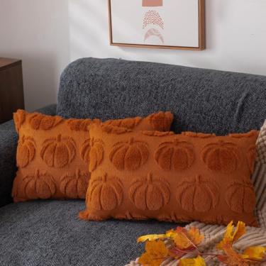 Imagem de DFXSZ Capas de almofada de outono, 30,5 x 50,8 cm, conjunto de 2 capas de almofada de outono enferrujadas de abóbora de pelúcia macia de lã sintética para cadeira, sofá, quarto, sala de estar