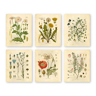Imagem de Impressões botânicas de tinta Inc Impressões de flores silvestres Arte de parede floral – Conjunto de 6 – 8 x 10 – Fosco – Sem moldura