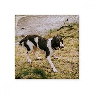 Imagem de Pedra adorna de tijolo vitrificado com imagem de animal preto e branco