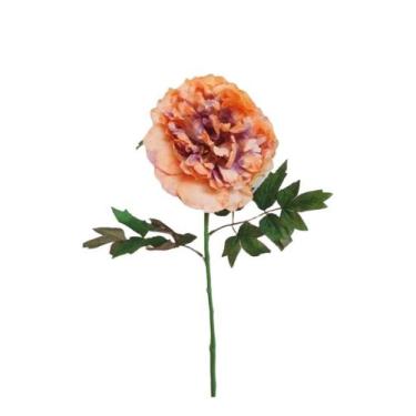 Imagem de Galho Flor Peonia GD Palha Envelhecido 68cm - Kaza Decore