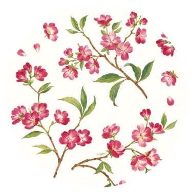 Imagem de Conjunto divertido com Caspari de dois pacotes de prato de salada de papel cerejeira, 8 pratos por pacote