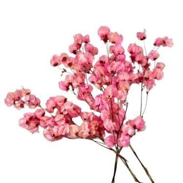 Imagem de Kit de 3 bougainville  - Flores Desidratadas - Florizinha Seca Arranjo
